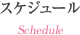 スケジュール